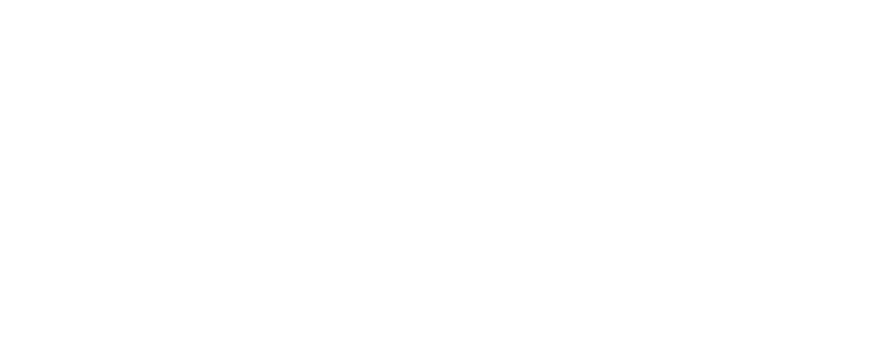 Triage WBS